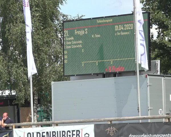 Horse24 Deutsches Elite-Stutenchampionat 2023
