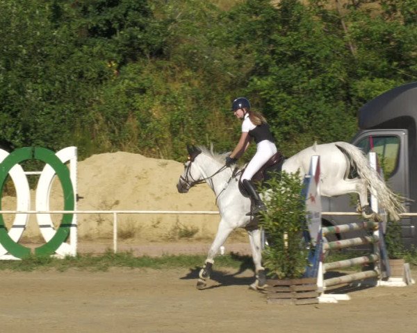 Reitturnier Heiligenwald 2023