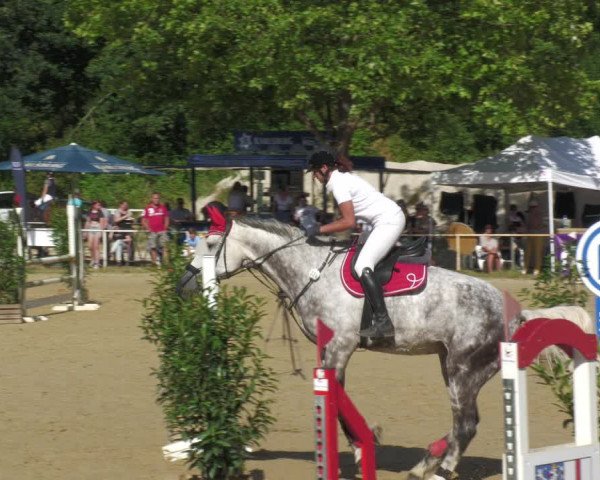Reitturnier Heiligenwald 2023