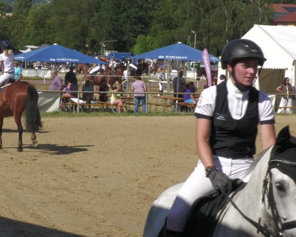 Reitturnier Heiligenwald 2023