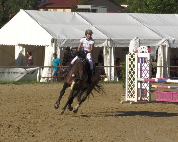 Reitturnier Heiligenwald 2023
