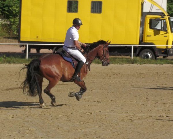 Reitturnier Heiligenwald 2023