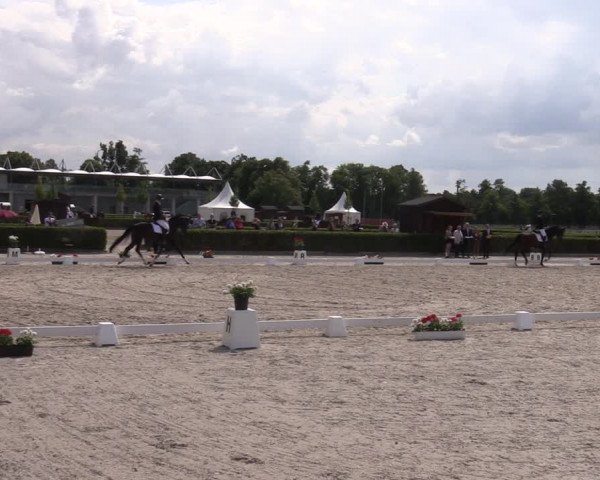 Reitturnier Neustadt/Dosse 2023
