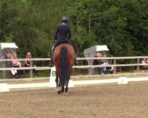 Reitturnier Kleinsolt 2023