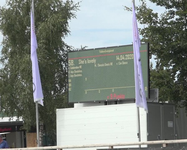 Horse24 Deutsches Elite-Stutenchampionat 2023