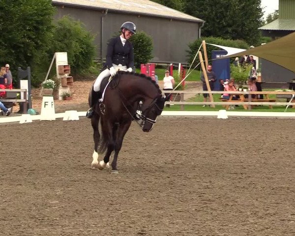 Reitturnier Kleinsolt 2023