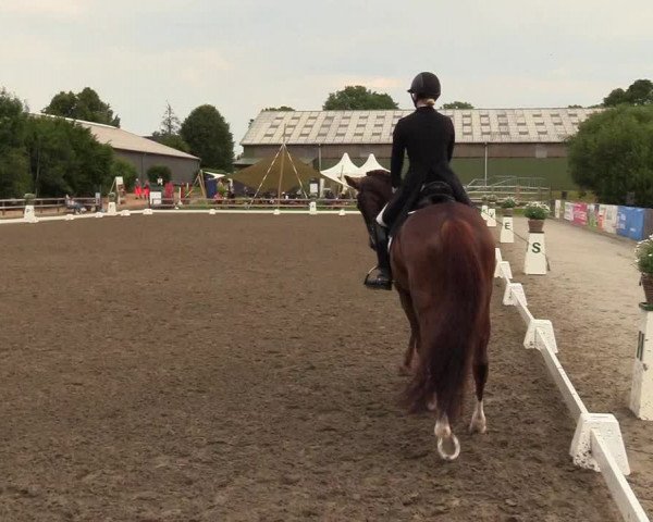 Reitturnier Kleinsolt 2023