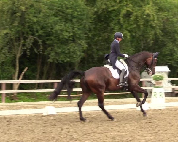 Reitturnier Kleinsolt 2023