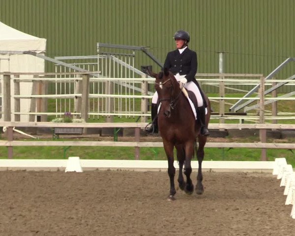 Reitturnier Kleinsolt 2023