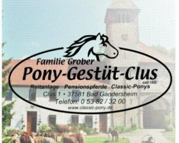 Familie Grober Pony-Gestüt-Clus