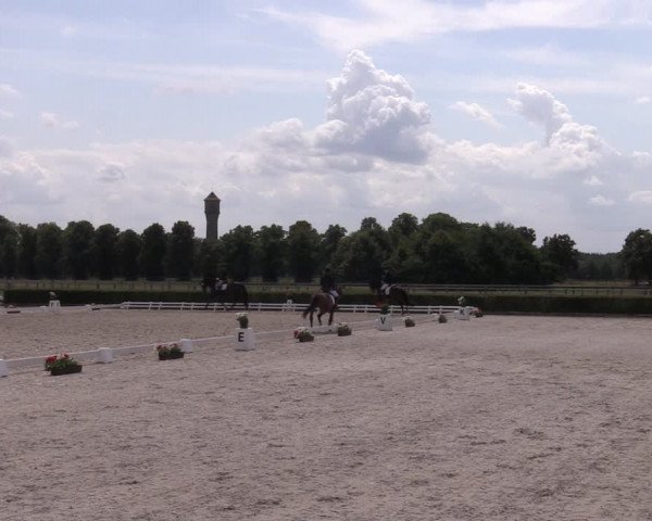 Reitturnier Neustadt/Dosse 2023