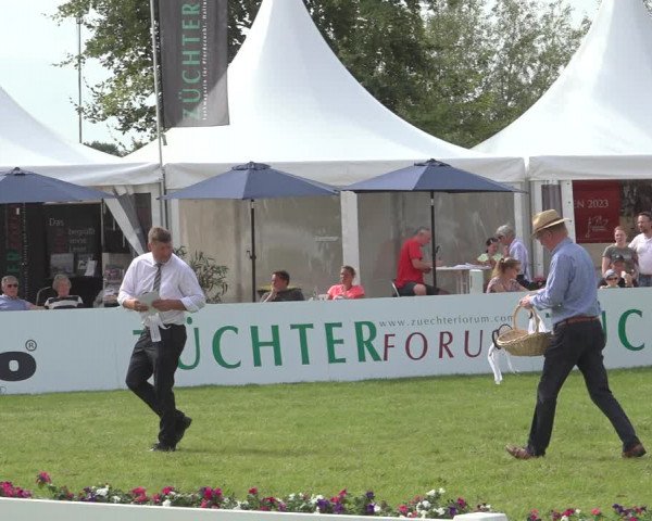 Horse24 Deutsches Elite-Stutenchampionat 2023