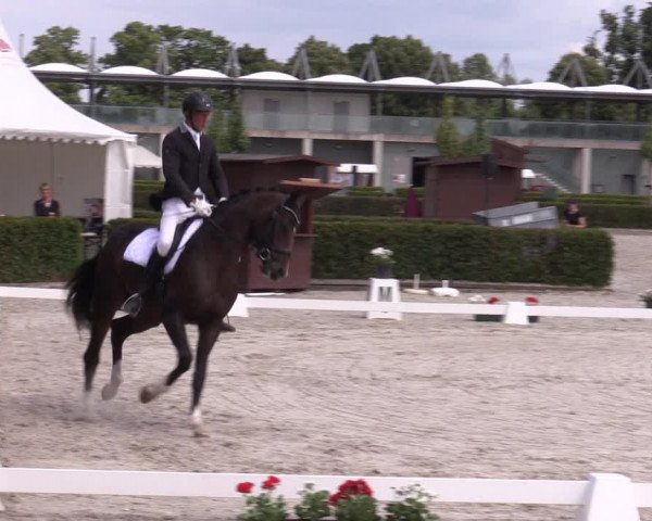 Reitturnier Neustadt/Dosse 2023