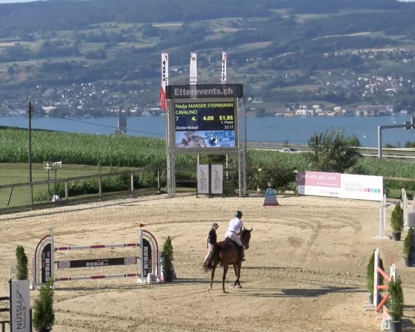 Reitturnier Wädenswil 2023