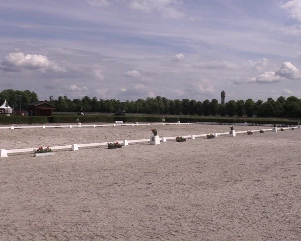 Reitturnier Neustadt/Dosse 2023