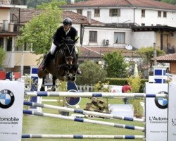 jumper Dardino (KWPN (Royal Dutch Sporthorse), 2008, from Quinten van 't Merelsnest)