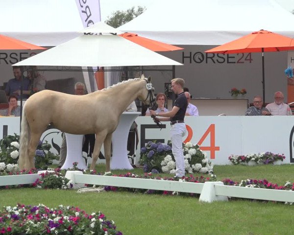 Horse24 Deutsches Elite-Stutenchampionat 2023