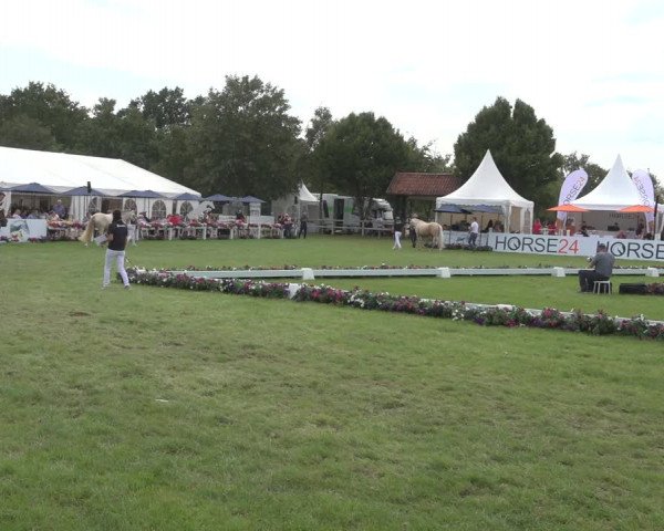 Horse24 Deutsches Elite-Stutenchampionat 2023