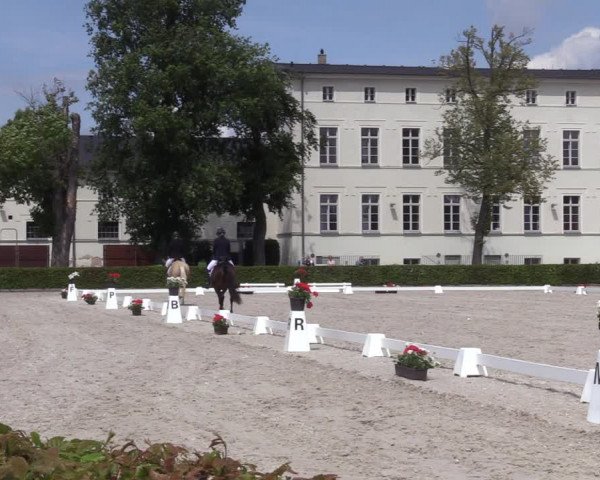 Reitturnier Neustadt/Dosse 2023