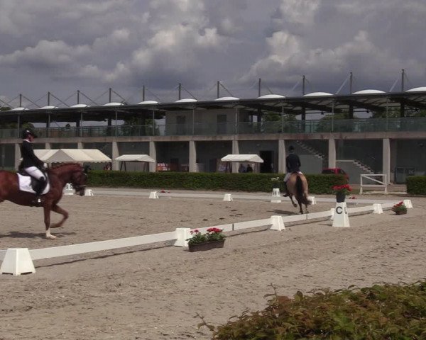 Reitturnier Neustadt/Dosse 2023