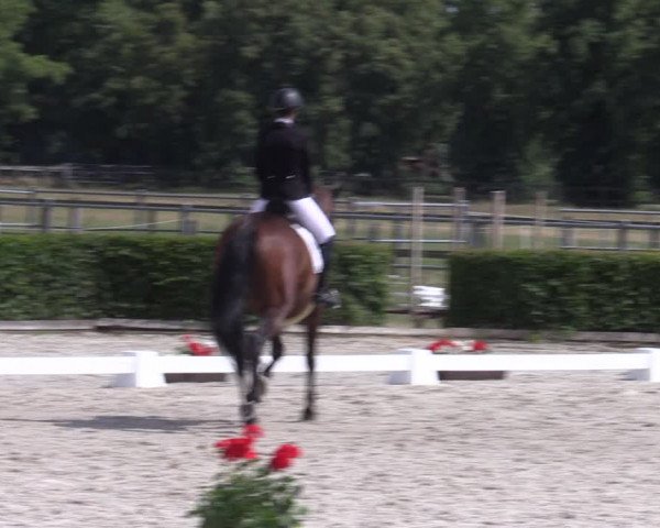 Reitturnier Neustadt/Dosse 2023