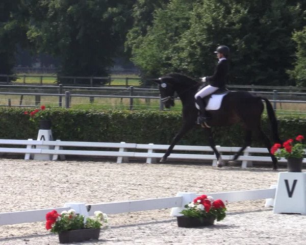 Reitturnier Neustadt/Dosse 2023