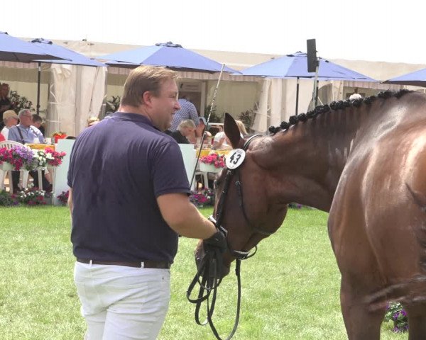 Horse24 Deutsches Elite-Stutenchampionat 2023
