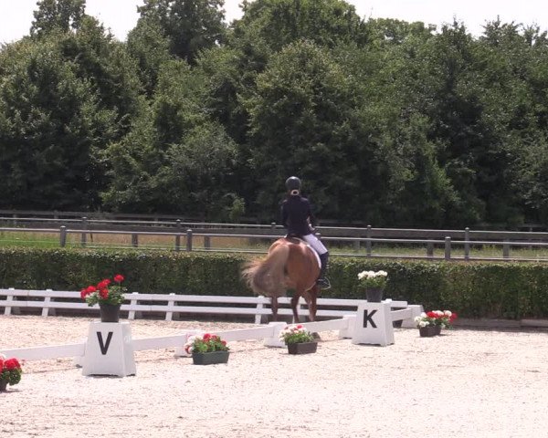 Reitturnier Neustadt/Dosse 2023