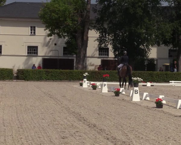 Reitturnier Neustadt/Dosse 2023