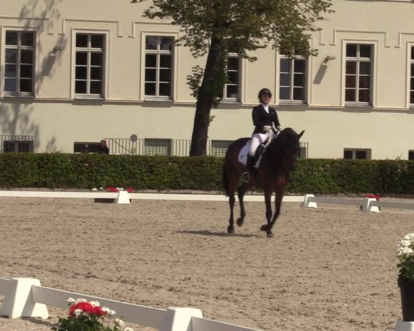 Reitturnier Neustadt/Dosse 2023