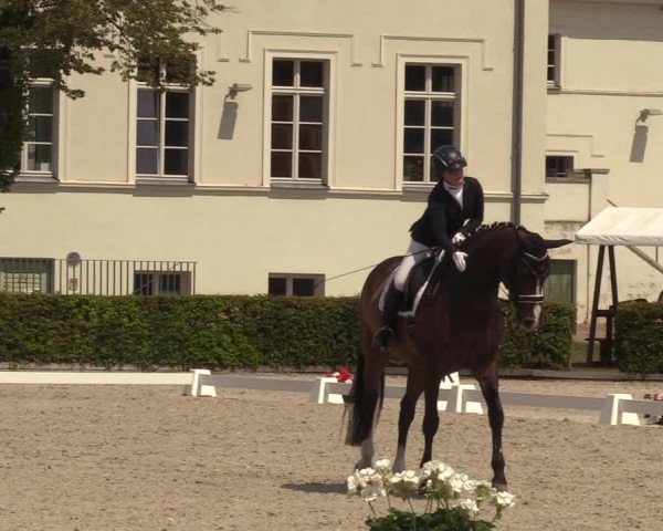 Reitturnier Neustadt/Dosse 2023