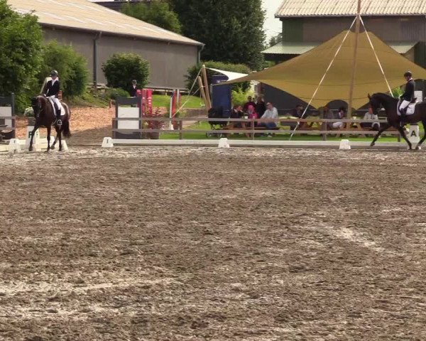 Reitturnier Kleinsolt 2023