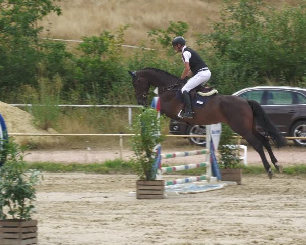 Reitturnier Heiligenwald 2023