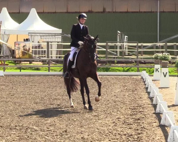 Reitturnier Kleinsolt 2023