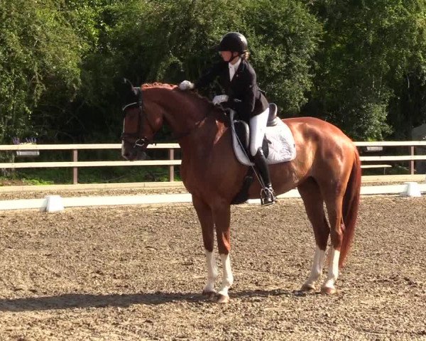 Reitturnier Kleinsolt 2023