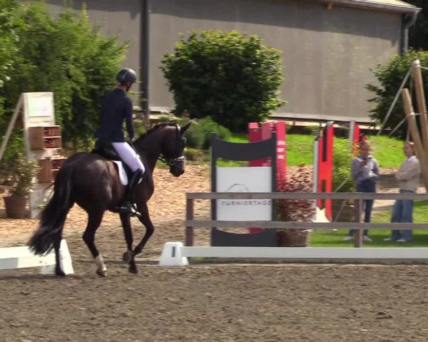 Reitturnier Kleinsolt 2023