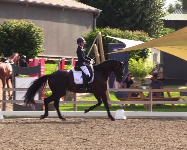 Reitturnier Kleinsolt 2023