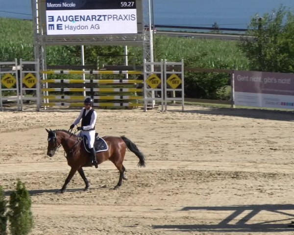 Reitturnier Wädenswil 2023