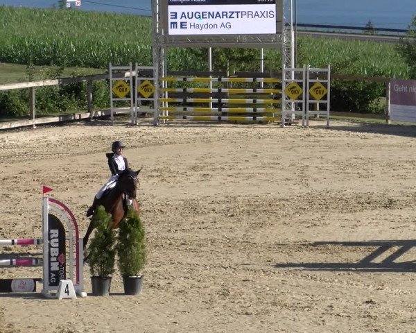 Reitturnier Wädenswil 2023