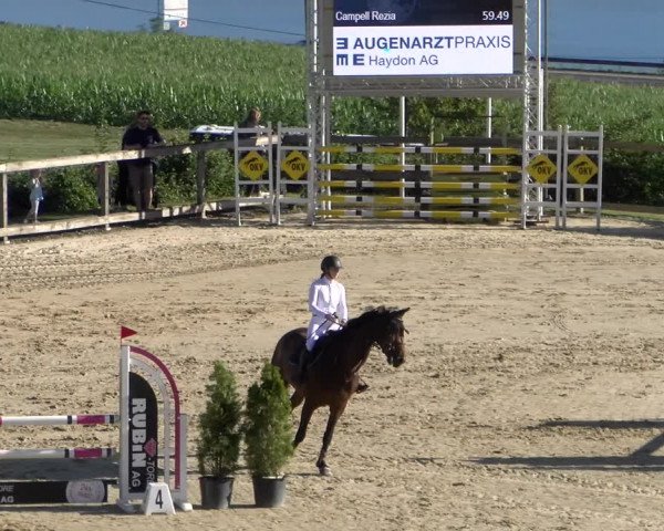 Reitturnier Wädenswil 2023