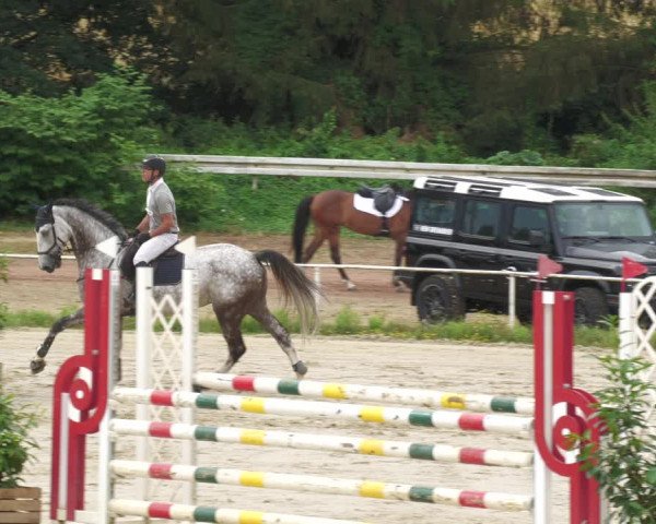 Reitturnier Heiligenwald 2023