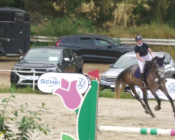 Reitturnier Heiligenwald 2023