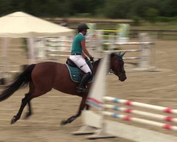Reitturnier Hemer 2023