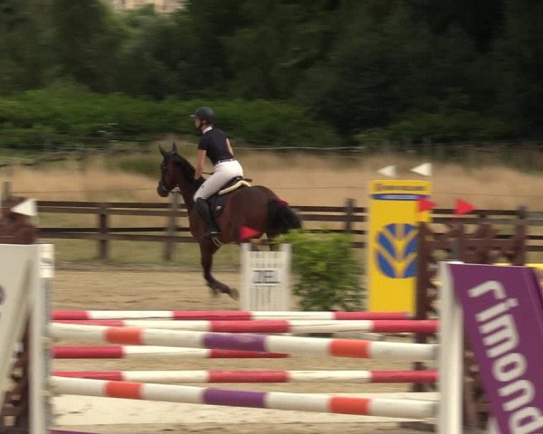 Reitturnier Hemer 2023