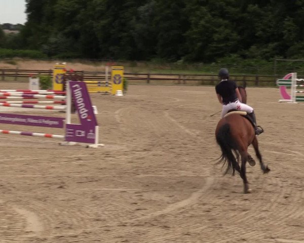 Reitturnier Hemer 2023