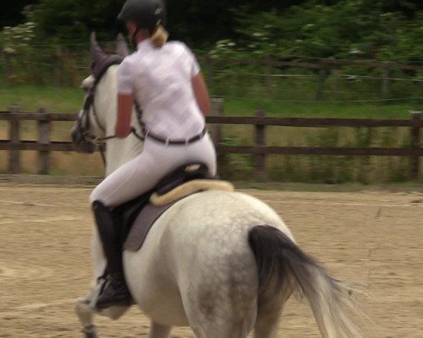 Reitturnier Hemer 2023