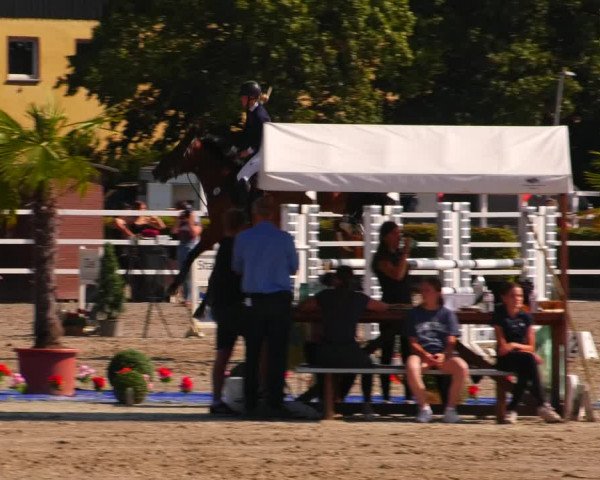 Reitturnier Neustadt/Dosse 2023