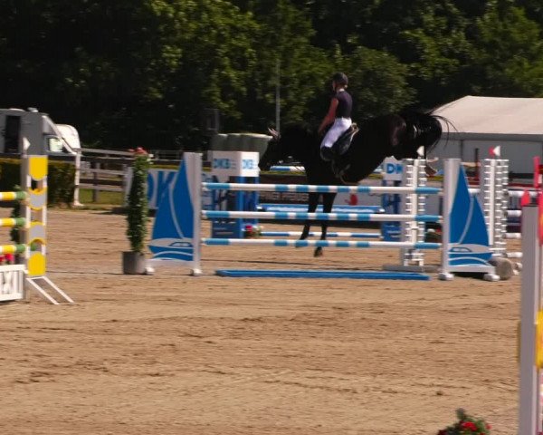 Reitturnier Neustadt/Dosse 2023
