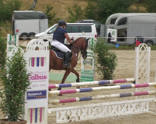 Reitturnier Heiligenwald 2023