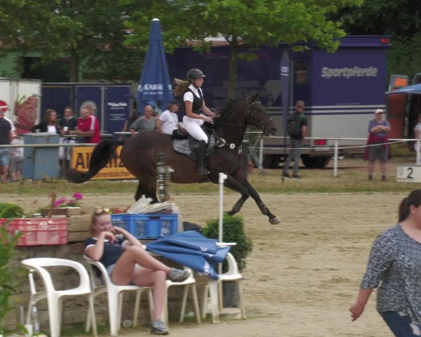 Reitturnier Heiligenwald 2023
